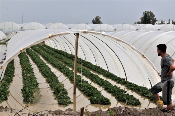 Foto - Deprem olur gibi! 1 senelik emek 5 dakikada uçtu