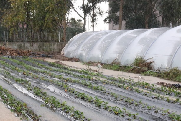 Foto - Deprem olur gibi! 1 senelik emek 5 dakikada uçtu