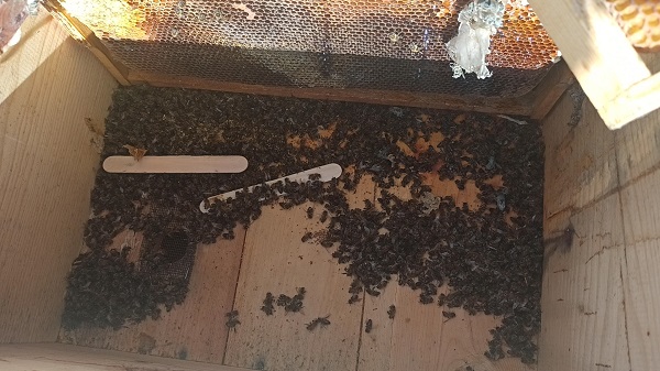 Deprem onları da etkiledi! Milyonlarcası telef oldu