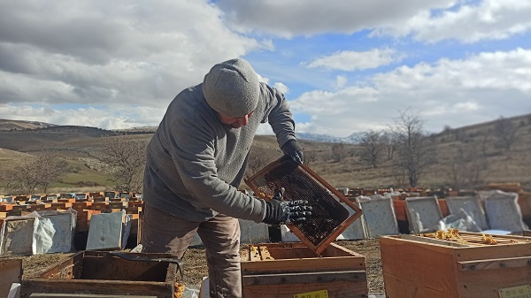 Foto - Deprem onları da etkiledi! Milyonlarcası telef oldu
