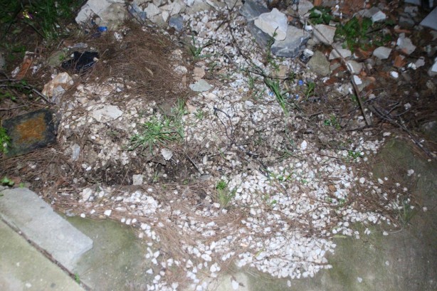 Foto - Deprem sanıp kendilerini dışarı attılar! Olay bambaşka çıktı