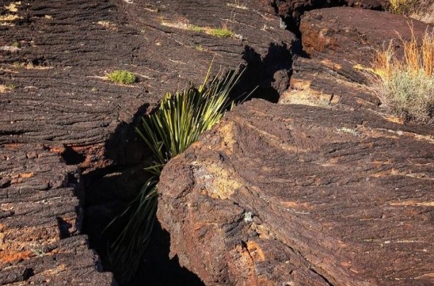 Foto - Deprem sonrası diri faylar ortaya çıkarıldı! Bu 22 ilde yaşayanlar dikkat