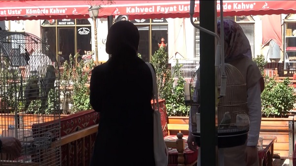 Foto - Deprem sonrası ilgi arttı! Bu kuşlar gerçekten depremi tahmin edebiliyor mu?