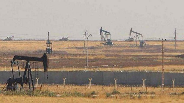 Foto - Deprem sonrası Oytun Erbaş, "Trakya ve Marmara'da var, bu iş sakat" diyerek uyardı! Karıncalara dikkat