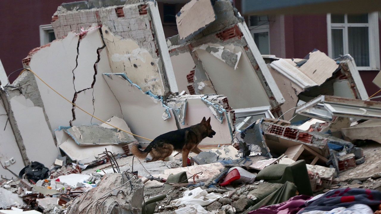 Foto - Deprem uzmanı Ahmet Ercan bakın kim çıktı! Herkes 'sana yazıklar olsun' diyor