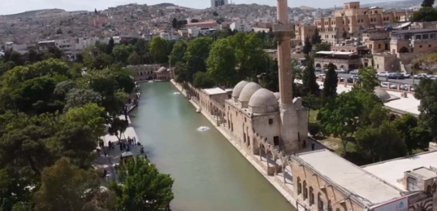 Foto - Selde ortadan kaybolan Balıklıgöl'deki balıklara ne oldu? Balıklardan haber var