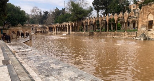 Foto - Selde ortadan kaybolan Balıklıgöl'deki balıklara ne oldu? Balıklardan haber var
