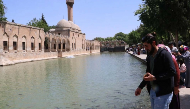 Foto - Selde ortadan kaybolan Balıklıgöl'deki balıklara ne oldu? Balıklardan haber var
