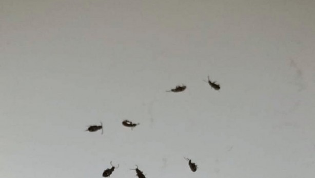 Foto - Deprem ve selden sonra Türkiye için yeni felaketi açıkladı! Başımıza bu kez öyle bir şeyi bela edecekler ki...