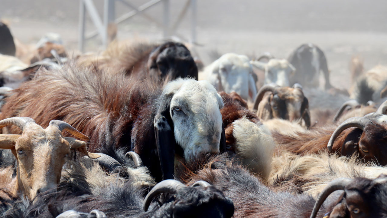 Foto - Depremde her şeyini kaybetti! Devlet desteğiyle ayağa kalktı