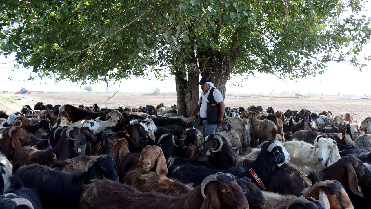Foto - Depremde her şeyini kaybetti! Devlet desteğiyle ayağa kalktı