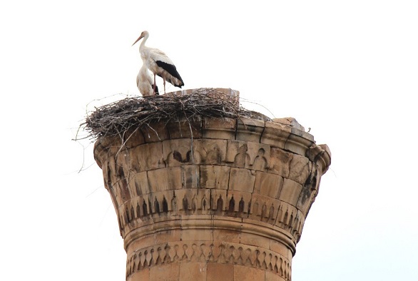 Depremde yarısı yıkıldı! Artık leylek yuvası