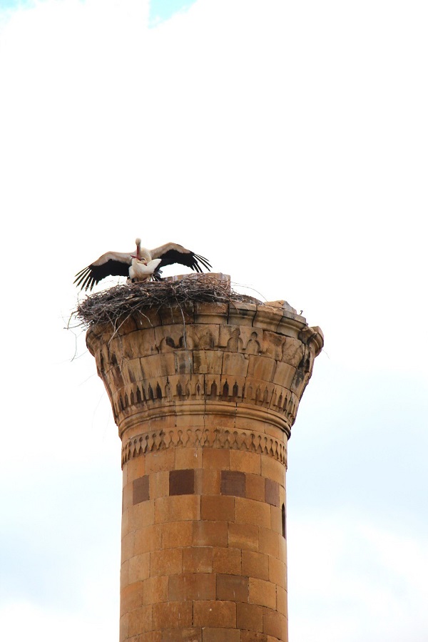 Foto - Depremde yarısı yıkıldı! Artık leylek yuvası