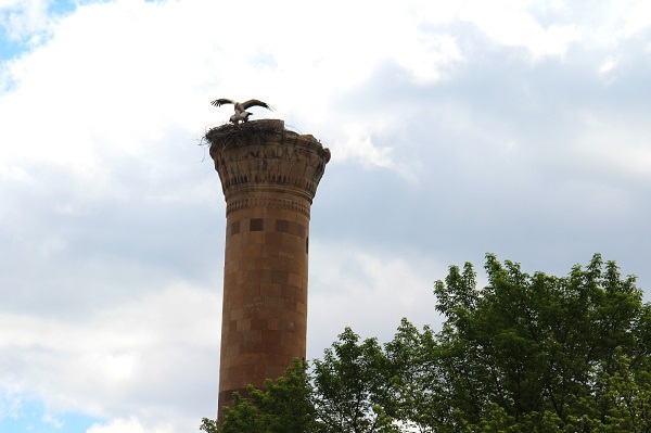 Foto - Depremde yarısı yıkıldı! Artık leylek yuvası