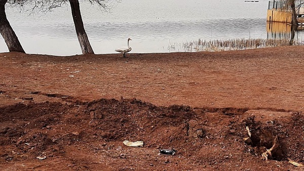 Foto - Depremde yaşandı! Bu gölün seviyesi bakın nasıl yükseldi?