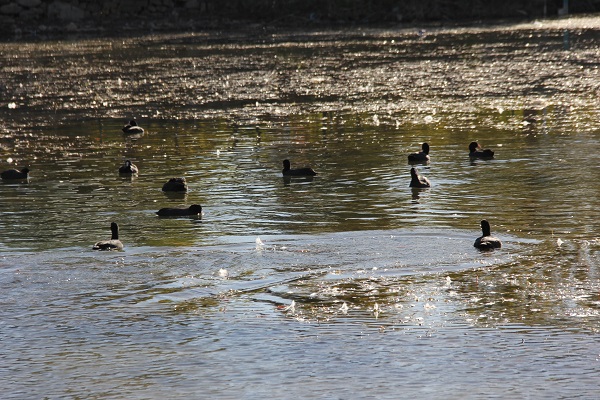 Foto - Depremde zemin sıvılaşması yaşanmıştı! Bu görüntü herkesi korkuttu