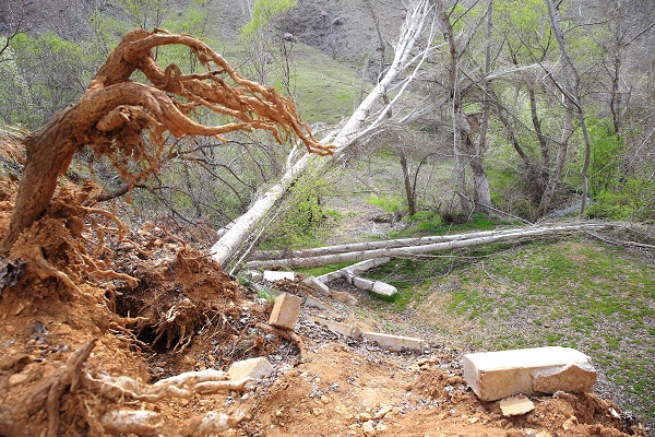 Depremden sonra dağlar bu hale geldi