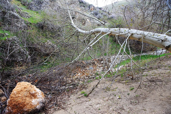 Foto - Depremden sonra dağlar bu hale geldi