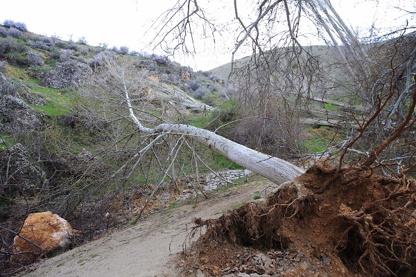 Foto - Depremden sonra dağlar bu hale geldi