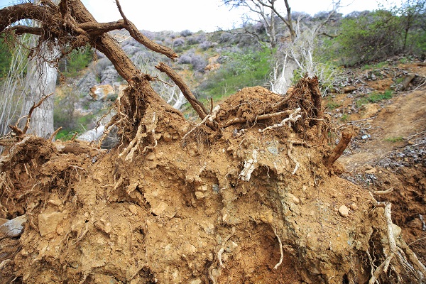 Foto - Depremden sonra dağlar bu hale geldi