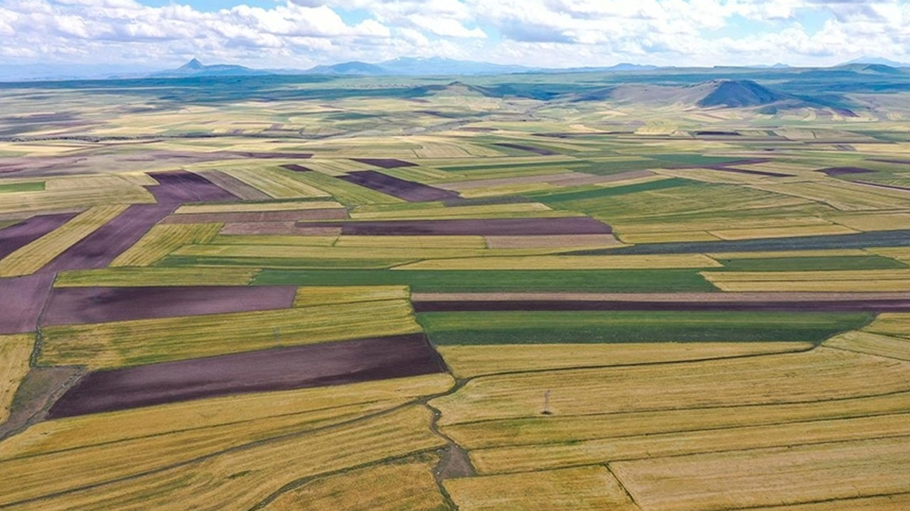 Foto - Depremden sonra fiyatlar patladı! '1 yatırımınız 10 olacak' diyorlar ama gerçek çok başka
