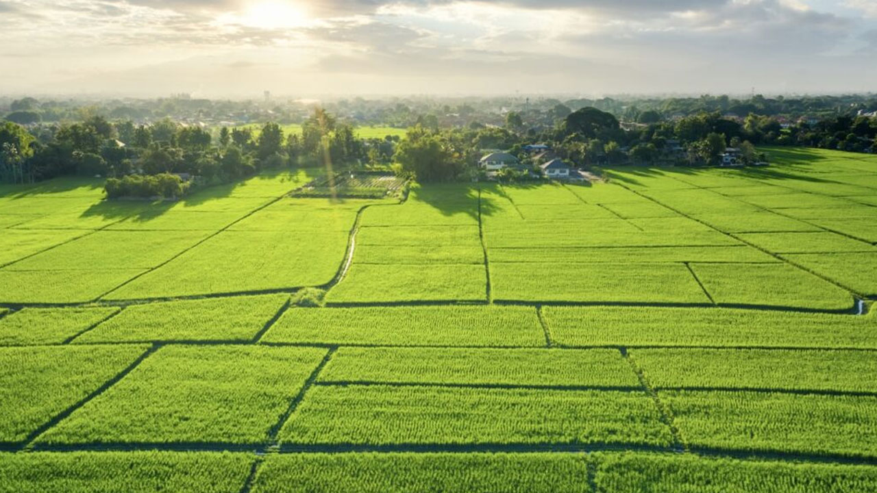 Foto - Depremden sonra fiyatlar patladı! '1 yatırımınız 10 olacak' diyorlar ama gerçek çok başka