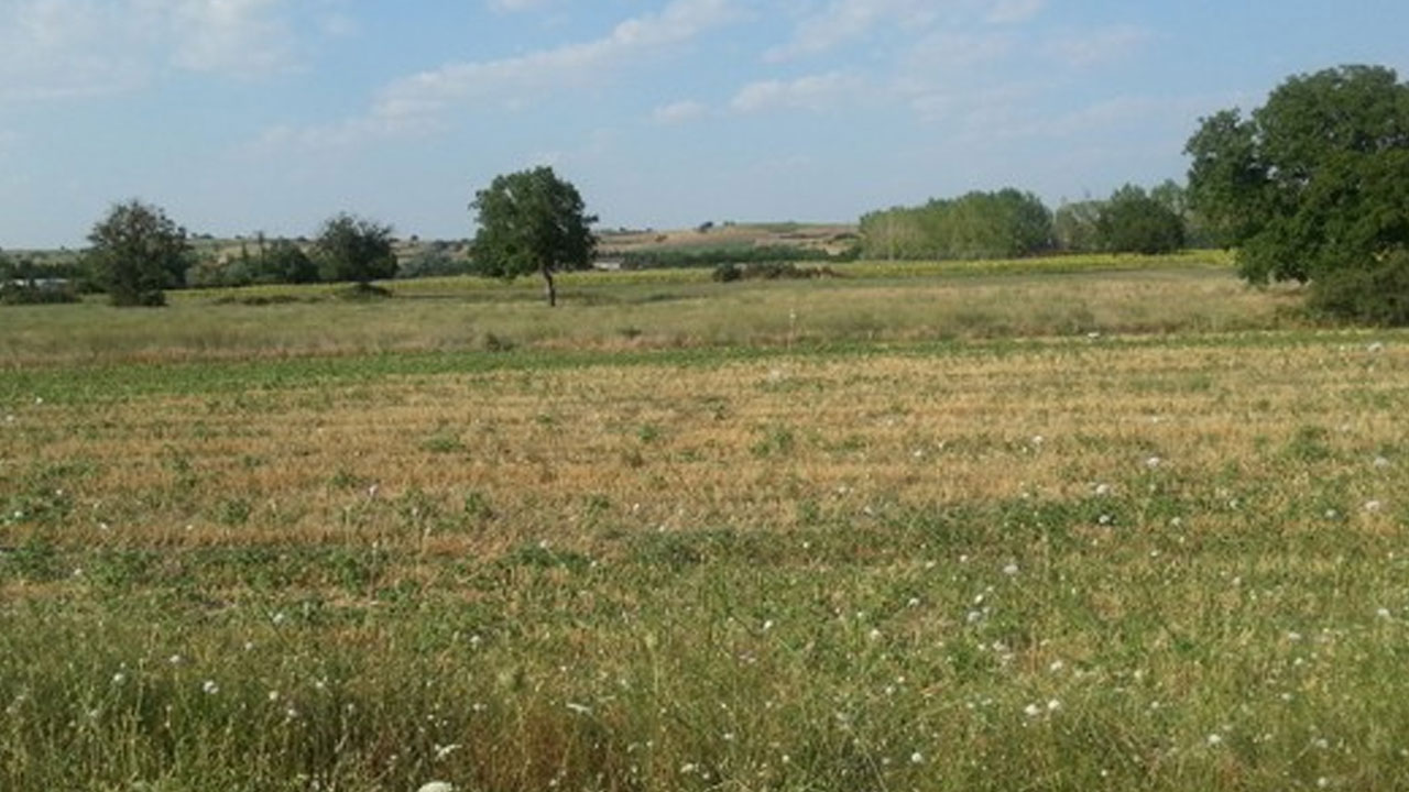 Foto - Depremden sonra fiyatlar patladı! '1 yatırımınız 10 olacak' diyorlar ama gerçek çok başka