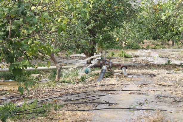 Foto - Depremden sonra olmuş! Her şey bahçeyi sularken ortaya çıktı