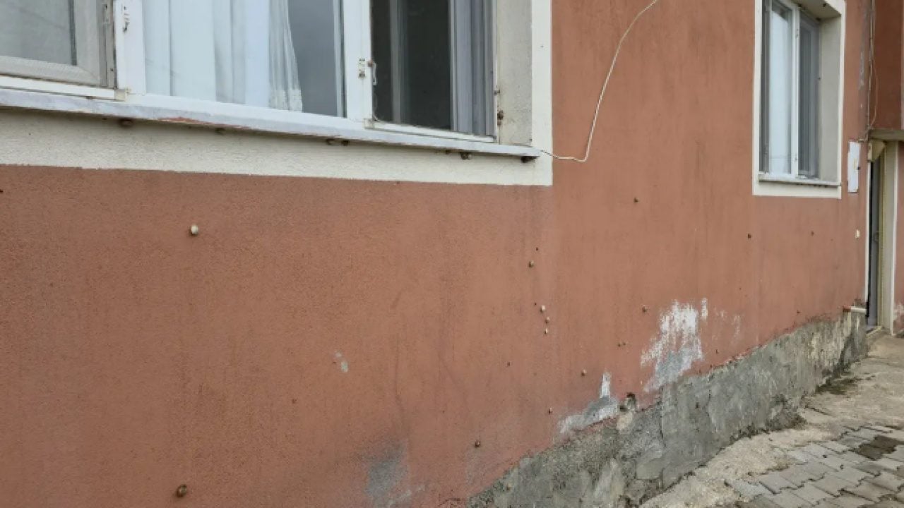 Depremden sonra ortaya çıktılar! 8 evi istila ettiler!