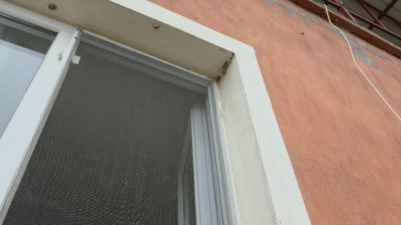 Foto - Depremden sonra ortaya çıktılar! 8 evi istila ettiler!