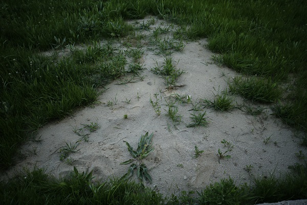 Foto - Depremden sonra ortayla çıktı! Evin bodrumundan çıkan suyun sırrı ne? 