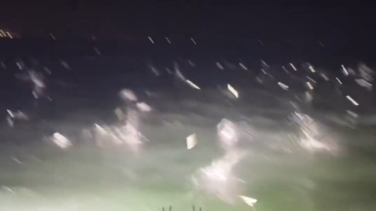 Foto - Depreme mi işaret? İzmir Narlıdere'de balıkların sürü halindeki hareketi gündem oldu