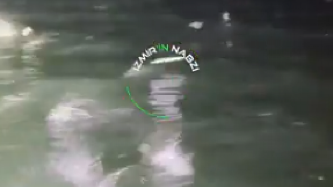 Foto - Depreme mi işaret? İzmir Narlıdere'de balıkların sürü halindeki hareketi gündem oldu