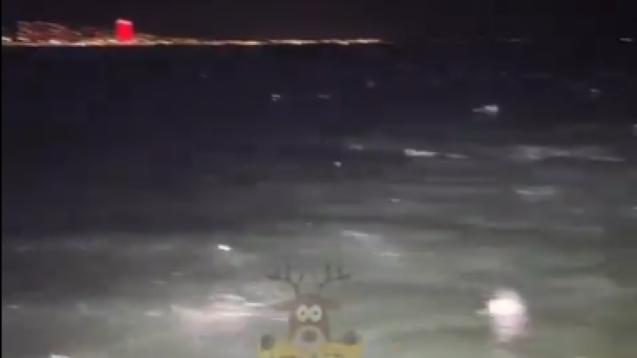 Foto - Depreme mi işaret? İzmir Narlıdere'de balıkların sürü halindeki hareketi gündem oldu