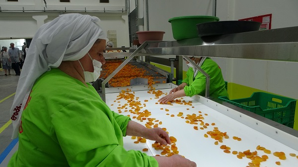 Foto - Depreme rağmen ihracat yüz güldürdü