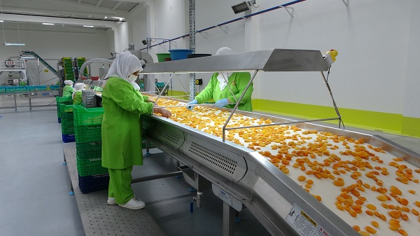 Foto - Depreme rağmen ihracat yüz güldürdü