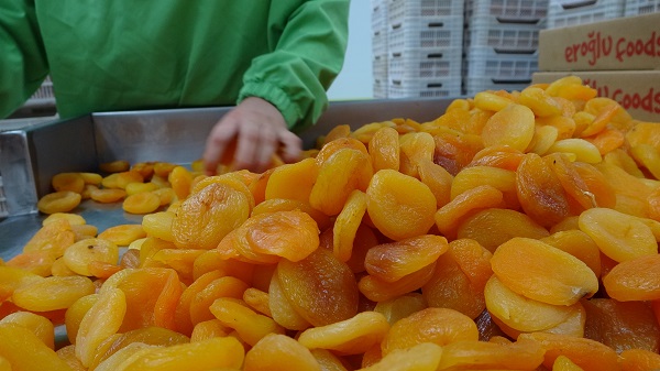 Foto - Depreme rağmen ihracat yüz güldürdü