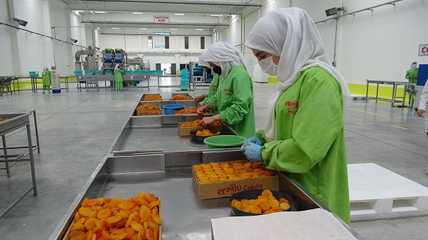 Foto - Depreme rağmen ihracat yüz güldürdü