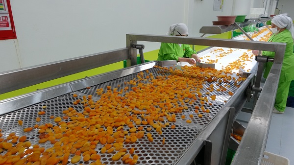 Foto - Depreme rağmen ihracat yüz güldürdü