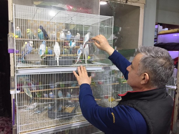 Foto - Depremi önceden haber verdiği düşünülüyor! Satışları patladı, esnaf şaşkın 