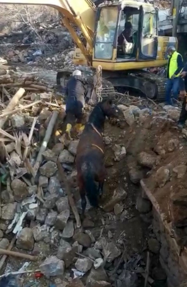 Foto - Depremin 20. günü sağ olarak kurtarıldı! Herkes şaşkına döndü