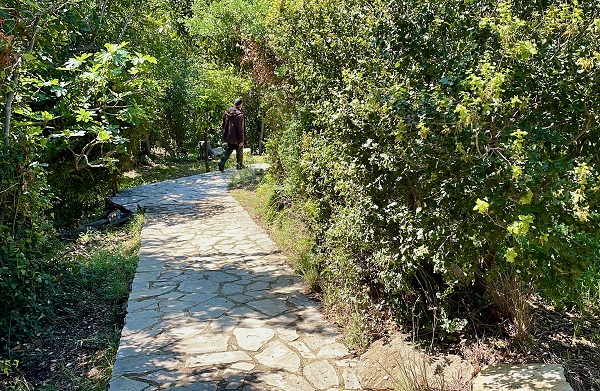 Foto - Depremin ardından böyle oldu! Tarihin en uzun sessizliği