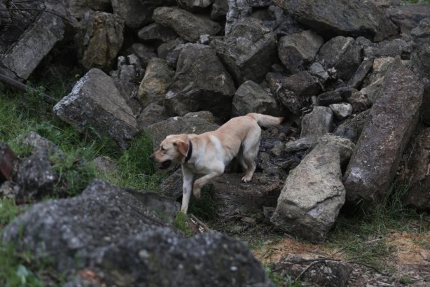 Foto - Depremin kahramanları böyle yetişiyor