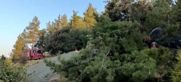 Foto - Depremin vurduğu Hatay'da orman yangını kontrol altına alındı