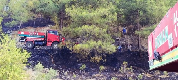 Foto - Depremin vurduğu Hatay'da orman yangını kontrol altına alındı