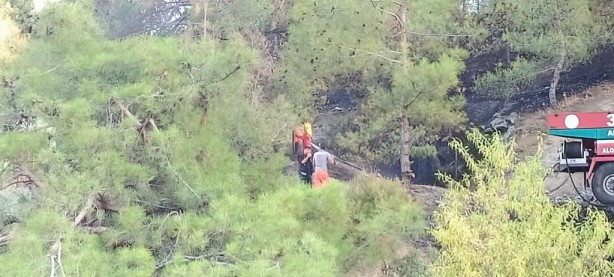 Foto - Depremin vurduğu Hatay'da orman yangını kontrol altına alındı