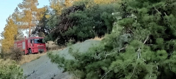 Foto - Depremin vurduğu Hatay'da orman yangını kontrol altına alındı