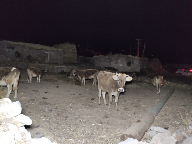 Foto - Depremin yaşandığı Göle'de vatandaşlar geceyi sokakta geçirdi
