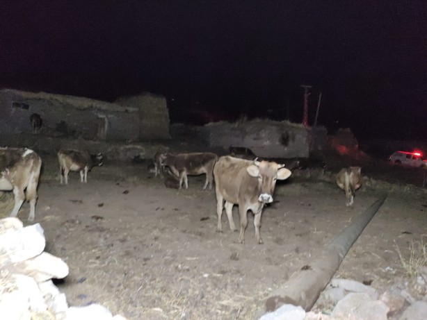 Foto - Depremin yaşandığı Göle'de vatandaşlar geceyi sokakta geçirdi