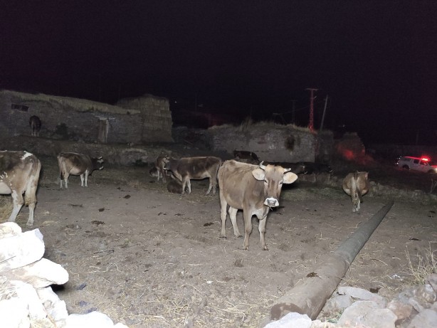 Foto - Depremin yaşandığı Göle'de vatandaşlar geceyi sokakta geçirdi